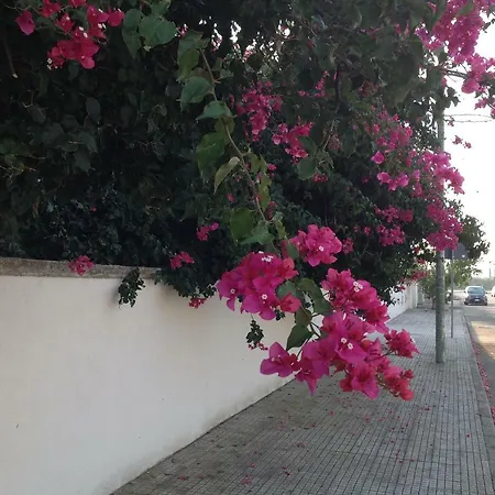 Casa La Sorgente Di Carlo Magno Apartamento Otranto